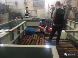 佛山三級環(huán)保加公安部門聯(lián)合執(zhí)法查處南海2家污企，七人被帶走調查