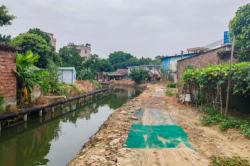 東莞高埗：清除障礙，提高河道整體防洪能力